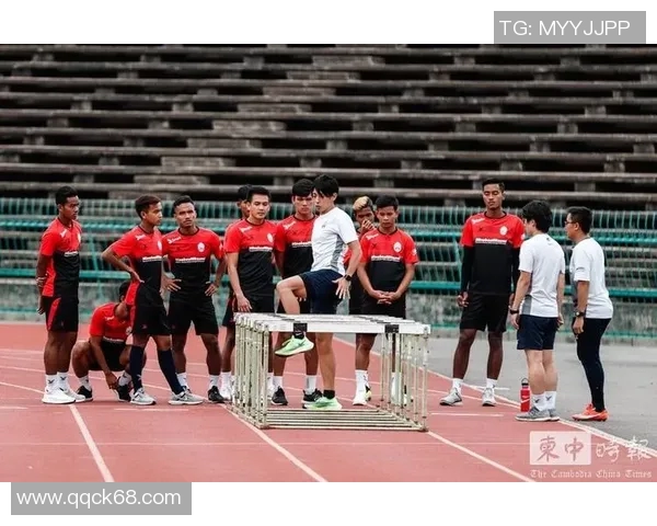 南京排球队世界杯预选赛表现分析与比赛经验总结