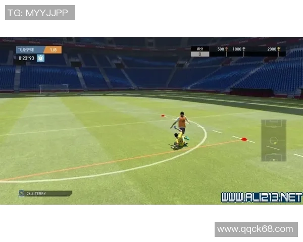 足球明星奢华私人飞机度假之旅揭秘尽享空中豪华与阳光海滩