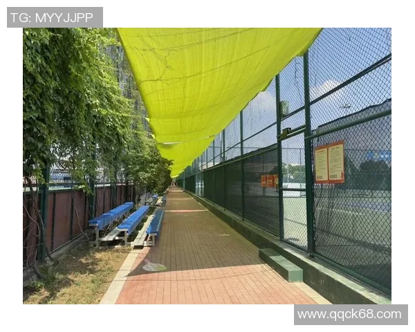 专业解读:西安网球队的控制打法 专业解读:西安网球队的控制打法